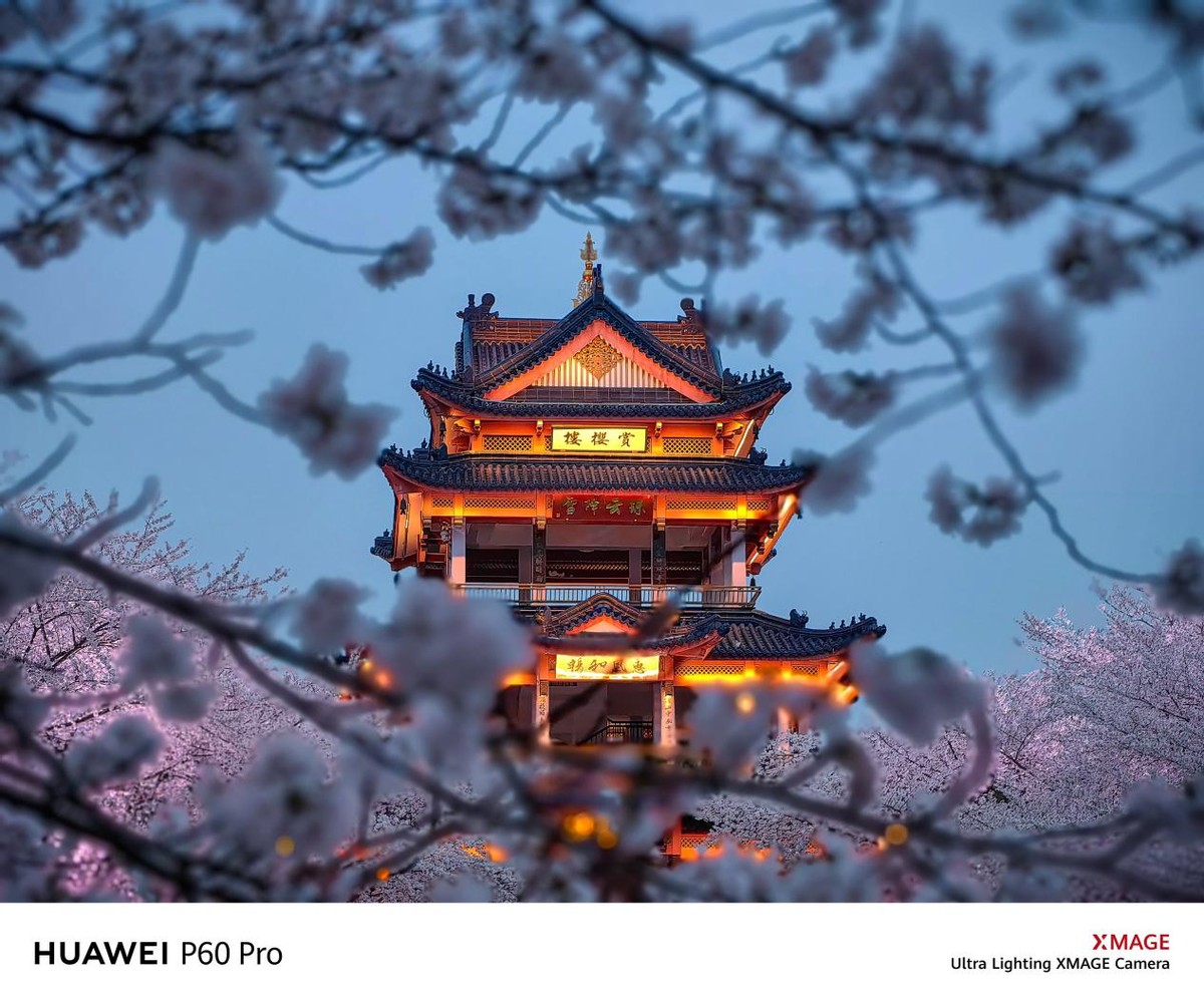 华为p60和p60pro长焦实拍对比,华为p60pro超聚光主摄实拍展示