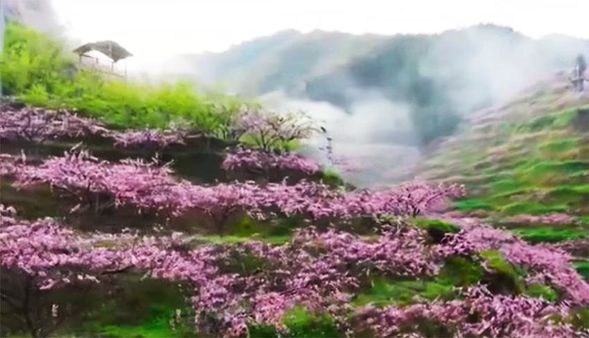 湖南下一个旅游强县，或许就是株洲炎陵