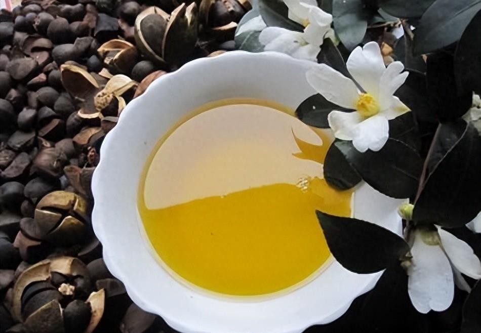 曾是皇帝*用御**，如今却无人问津，“油中软黄金”如何走向末路？