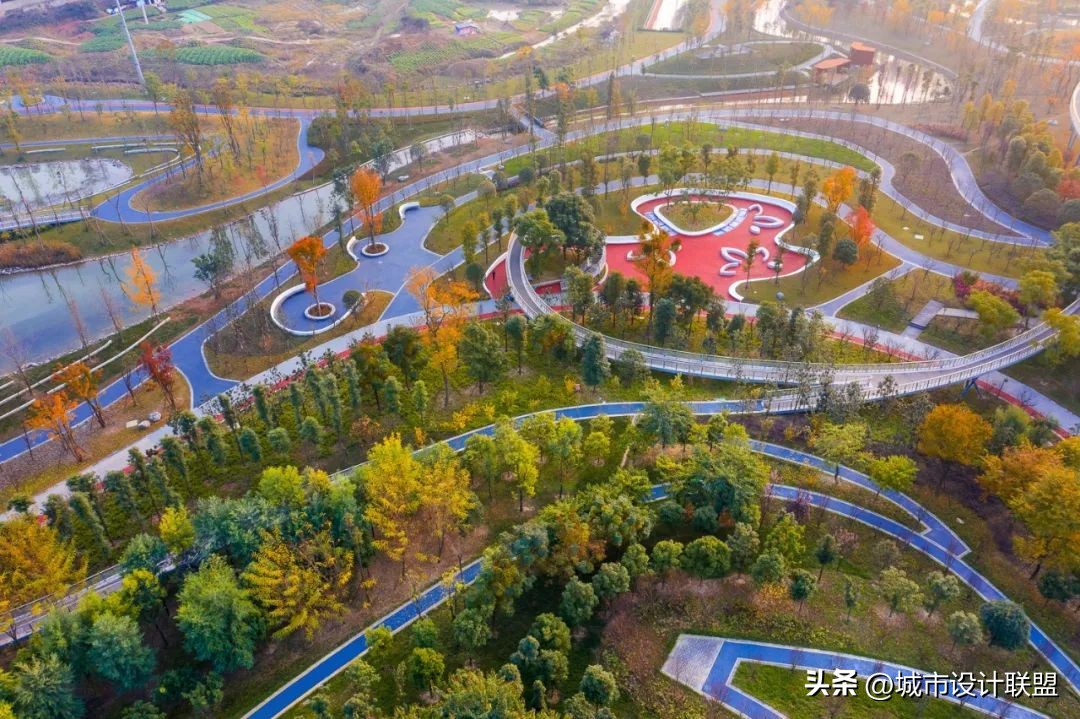 成都值得一游的公园,夏季成都宝藏公园