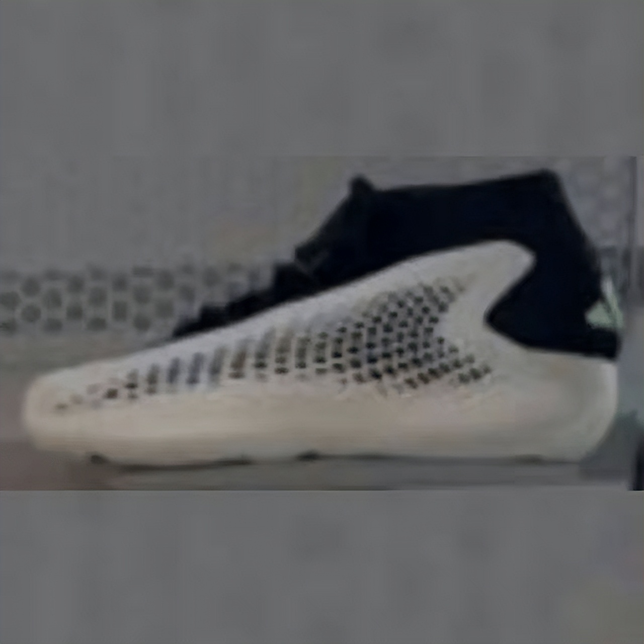 森林狼续约爱德华兹,森林狼队续约爱德华兹