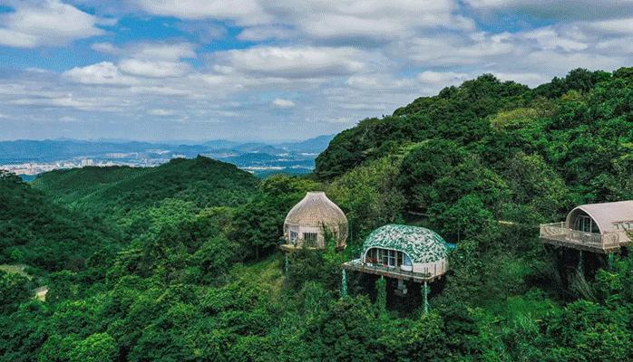 新春攻略生肖派对,新年怎么玩好玩