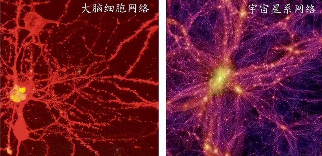 色即是空空即是色通俗解释一下,色即是空简单解释一下