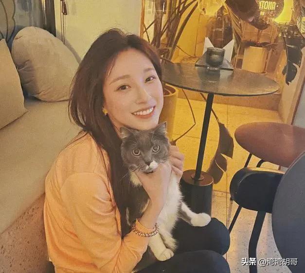 比董卿都有才华的女子,比董卿更有才气的网红