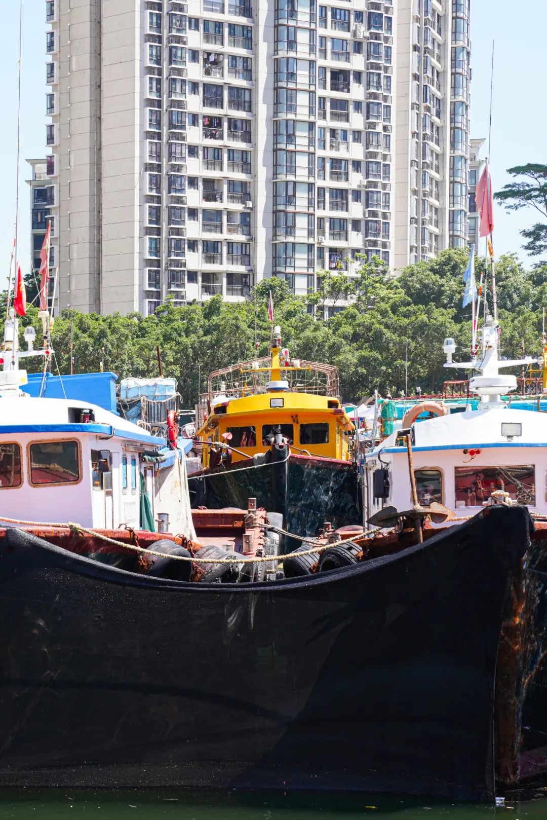 千万不要来深圳打工,深圳蛇口打工人的生活