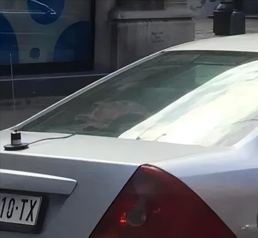 塞内加尔旅游真实感受,一起来看看真实的古巴