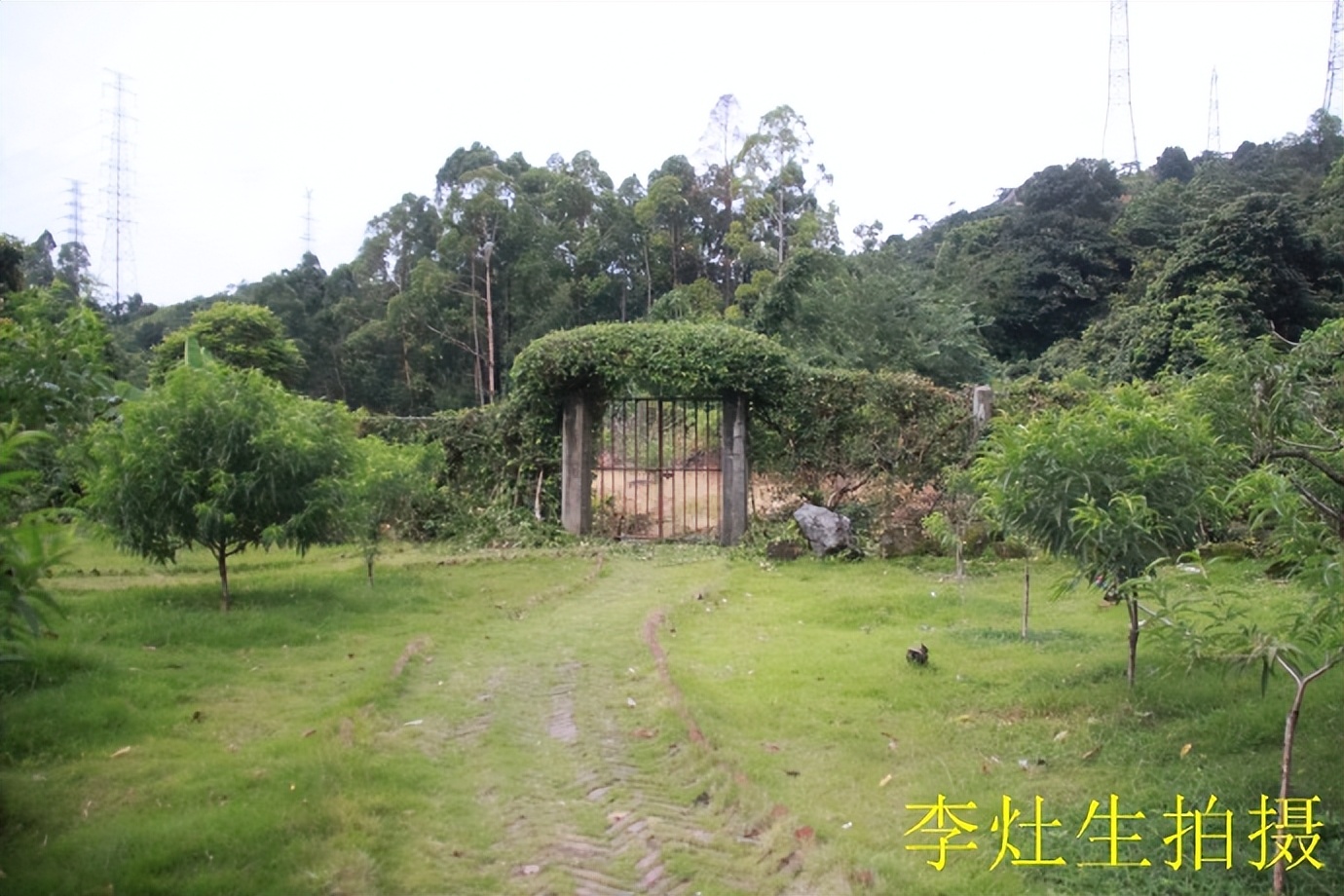 杨四将军庙简介,杨四将军庙在哪个位置