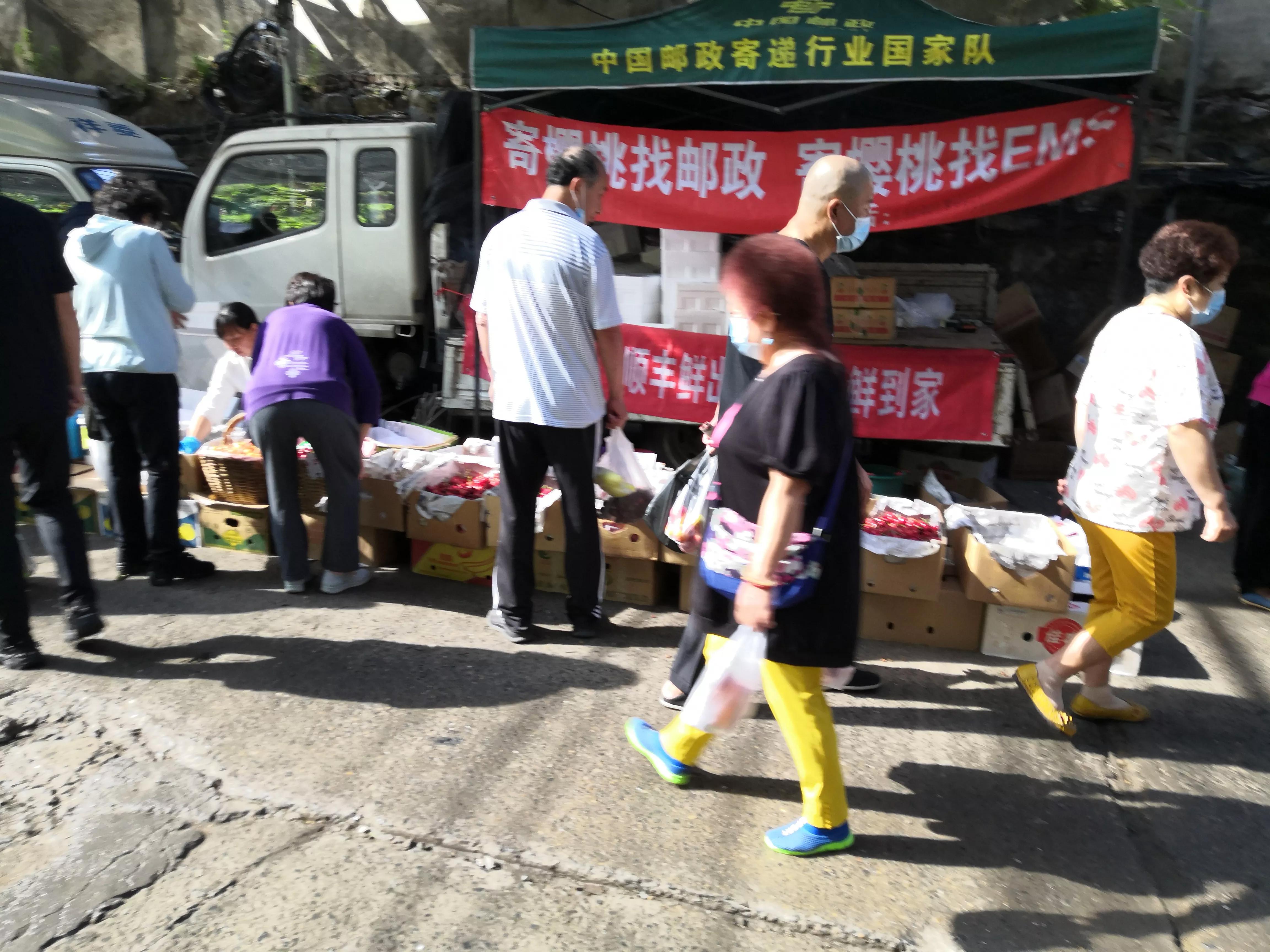 夜来风雨声花落知多少搞笑改编,夜来风雨声花落知多少的赏析