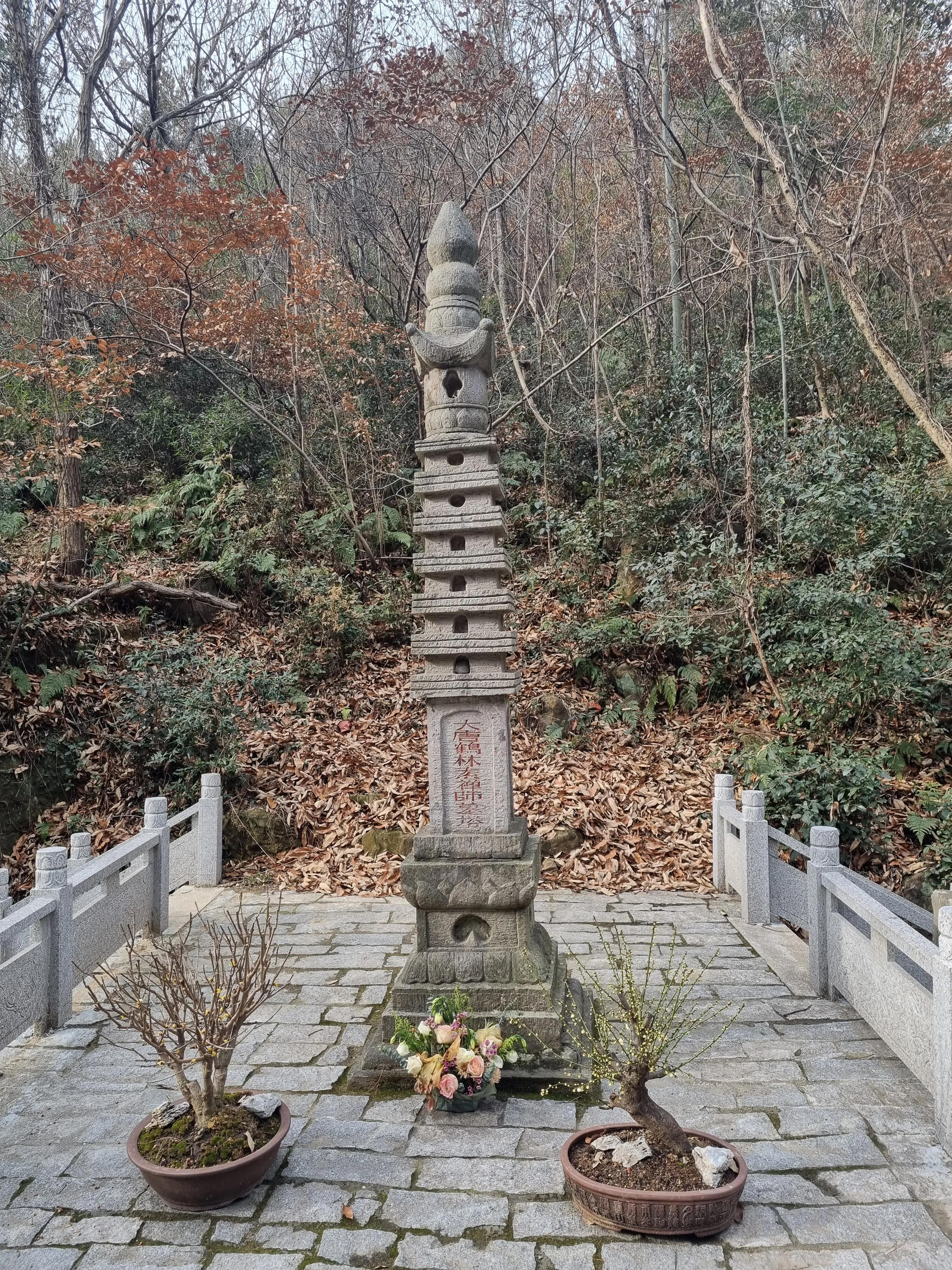 南京龙泉寺。寺里有一棵唐朝的腊梅树。