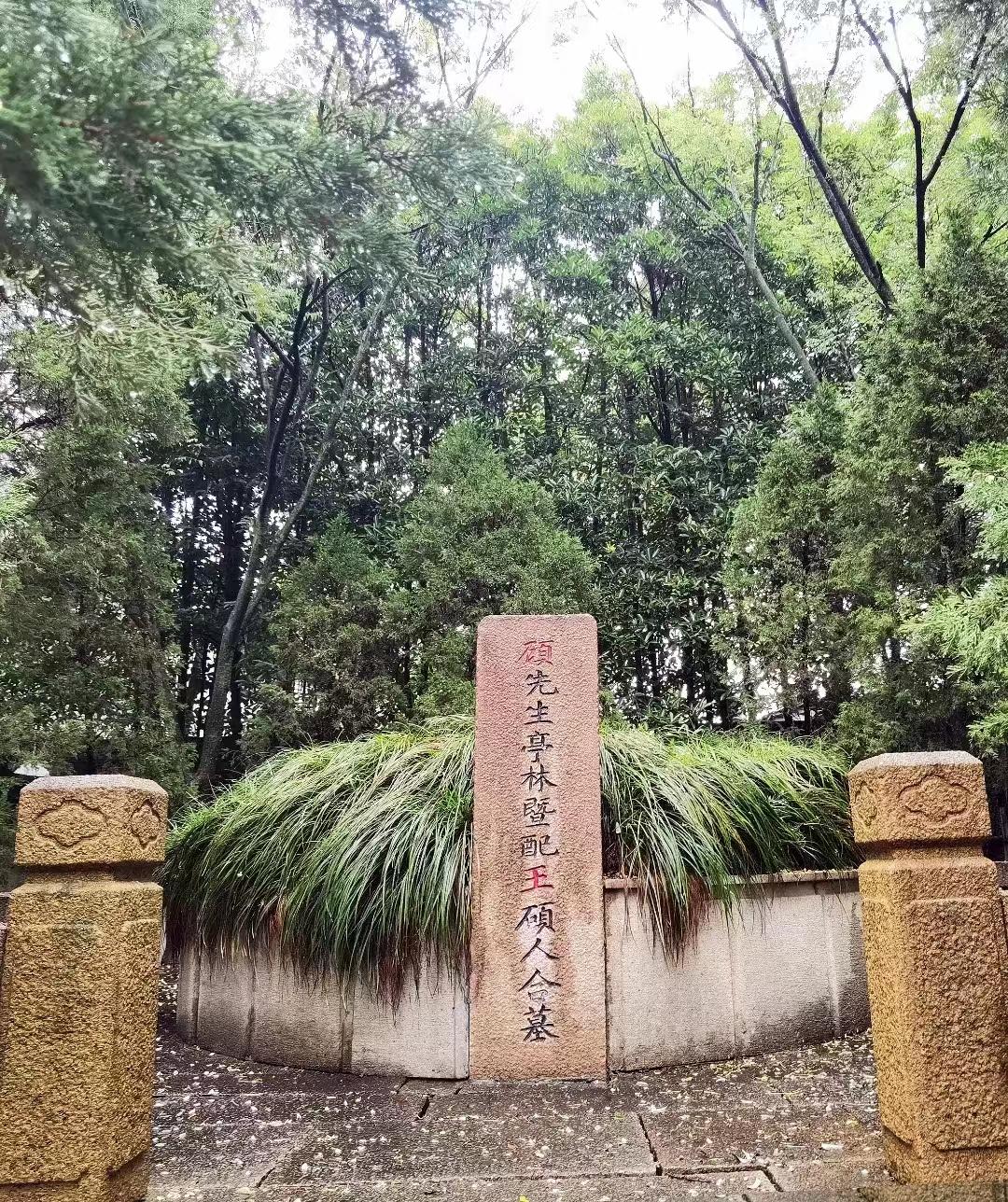 江南千灯古镇有什么好玩的,寻找最美江南之千灯古镇