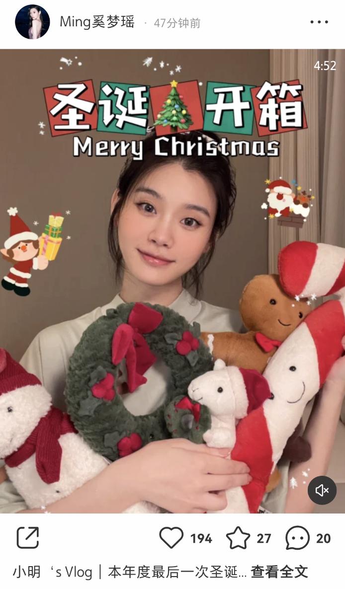 奚梦瑶香奈儿中古子母包,奚梦瑶拿什么样的包包