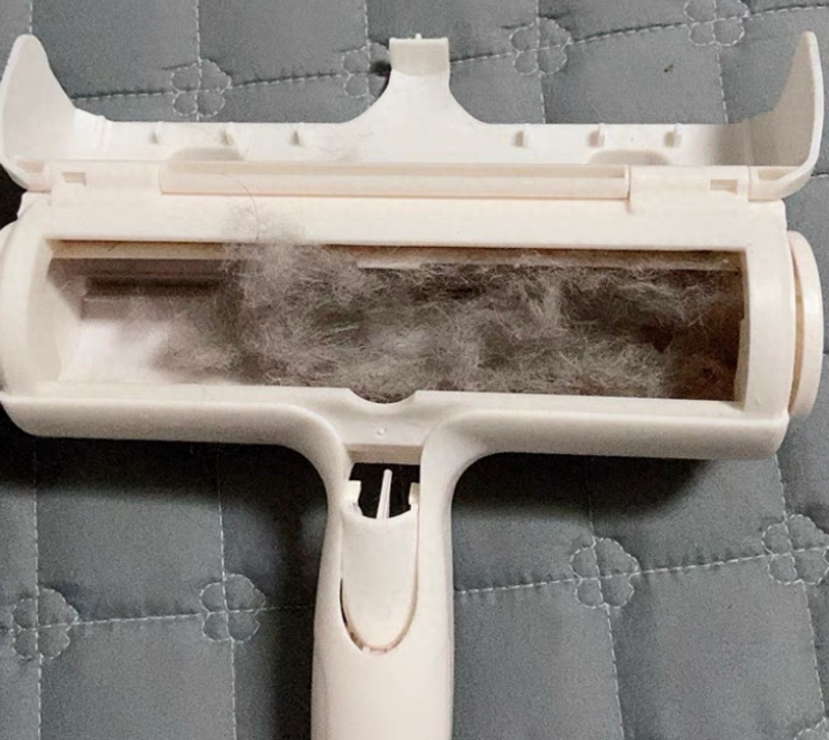 家里总是有灰尘毛絮用什么擦除,家里老是有毛毛灰怎么清除干净