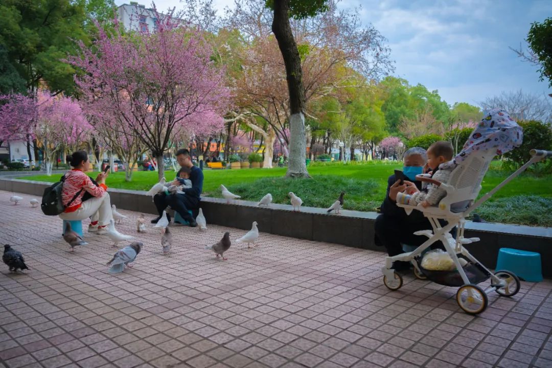 以前的宜昌步行街,宜昌汉正街