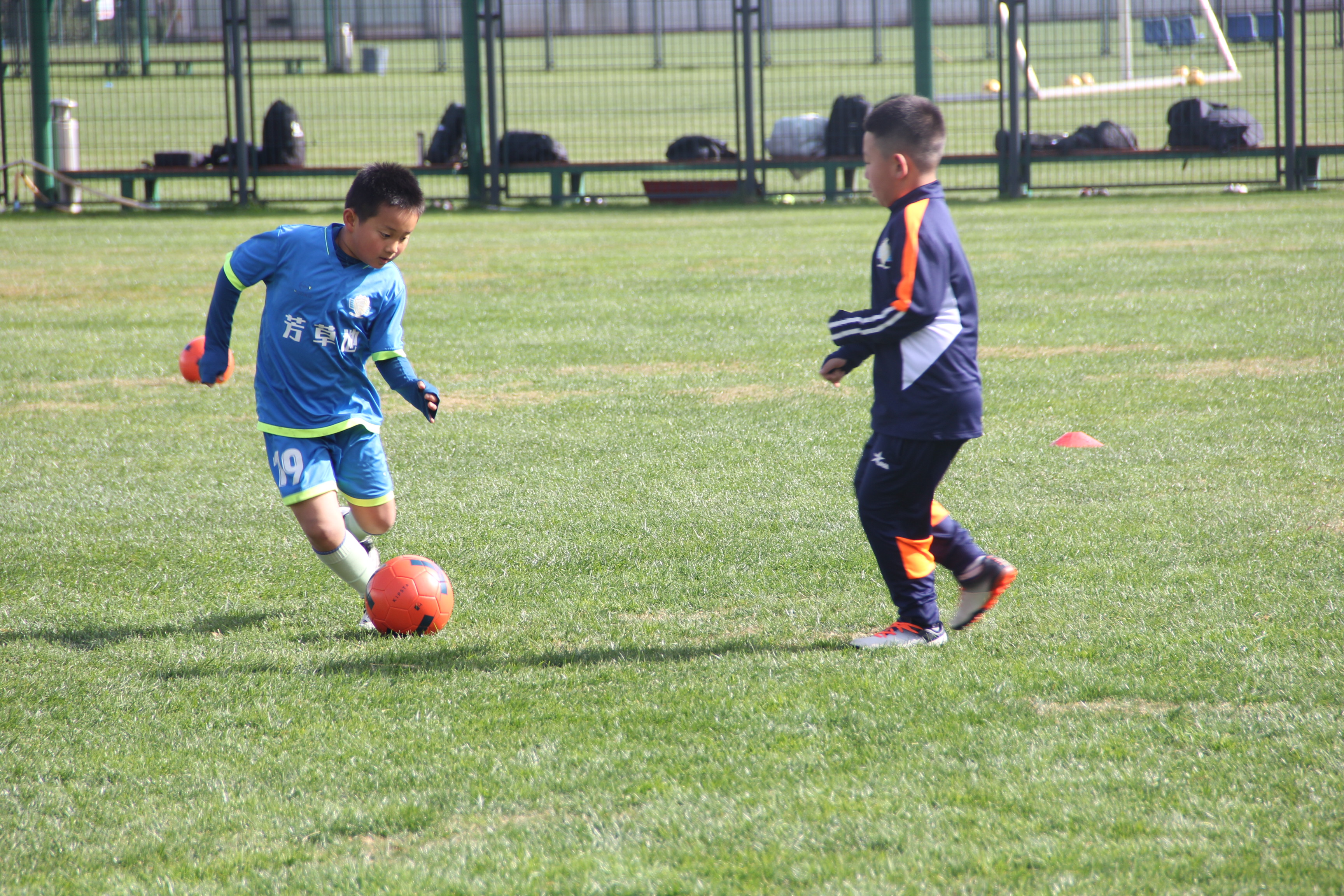 足球夏令营有哪些活动,足球为主题的夏令营