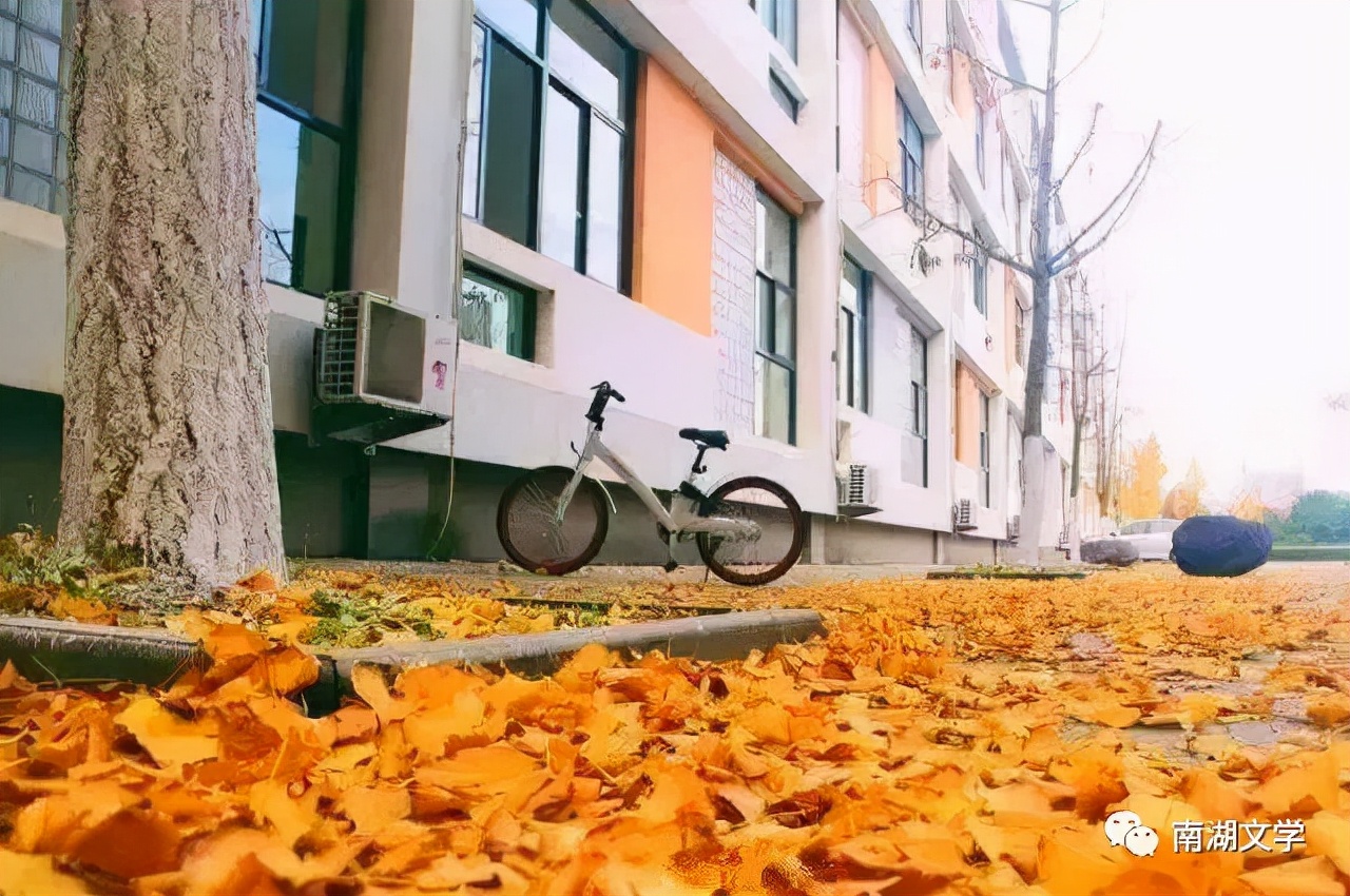 我和我的书包的故事,我和我的书包