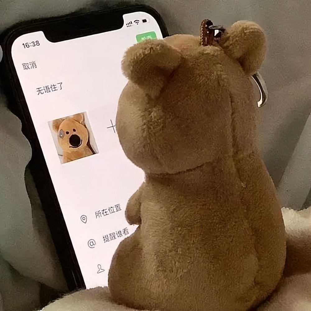 朋友圈的英文是啥,你的朋友圈英文