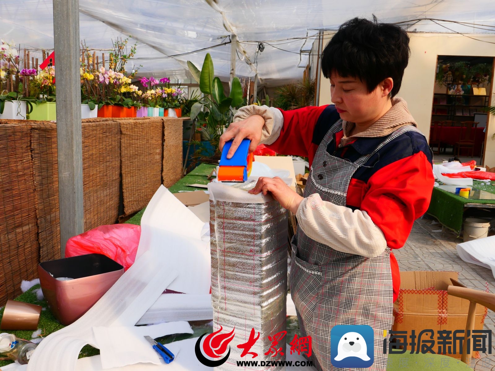 青州高端花卉基地,青州发展花卉产业的现状