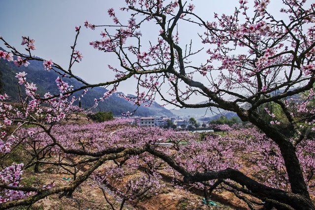 物是人非事事休欲语泪先流,物是人非事事休欲语泪先流天蝎座