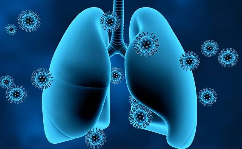 清风散热散治疗小儿风热性感冒？中医仅靠这一方子靠谱吗？