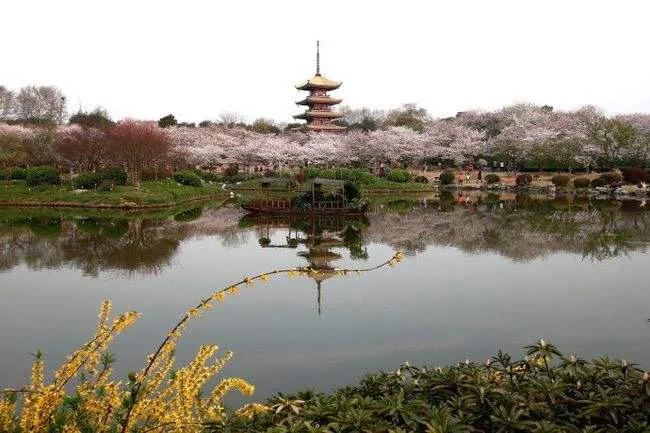 解读岁月静好,岁月悠悠时光静好赏析