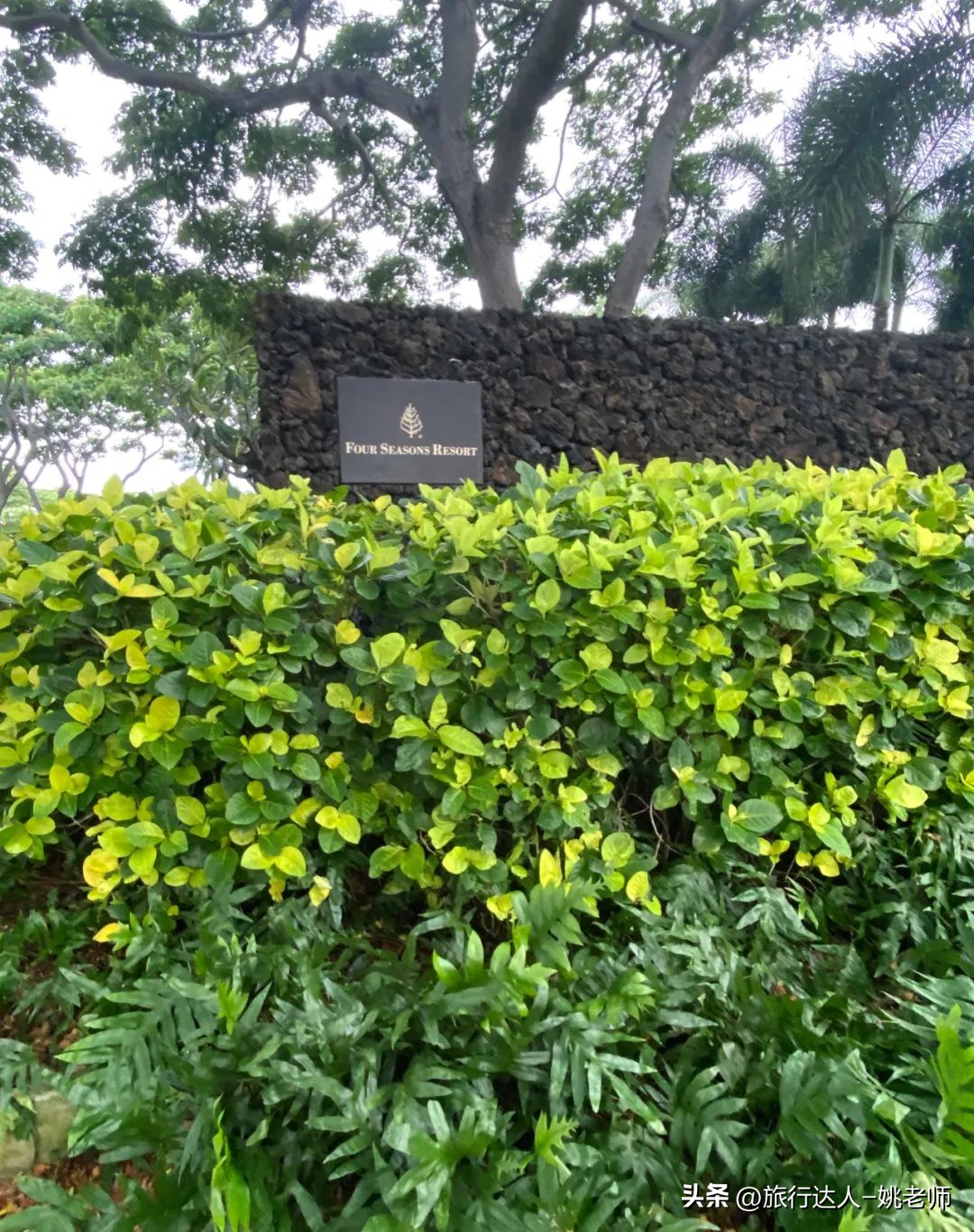 夏威夷的活火山喷发,夏威夷火山喷发大岛还能旅游吗