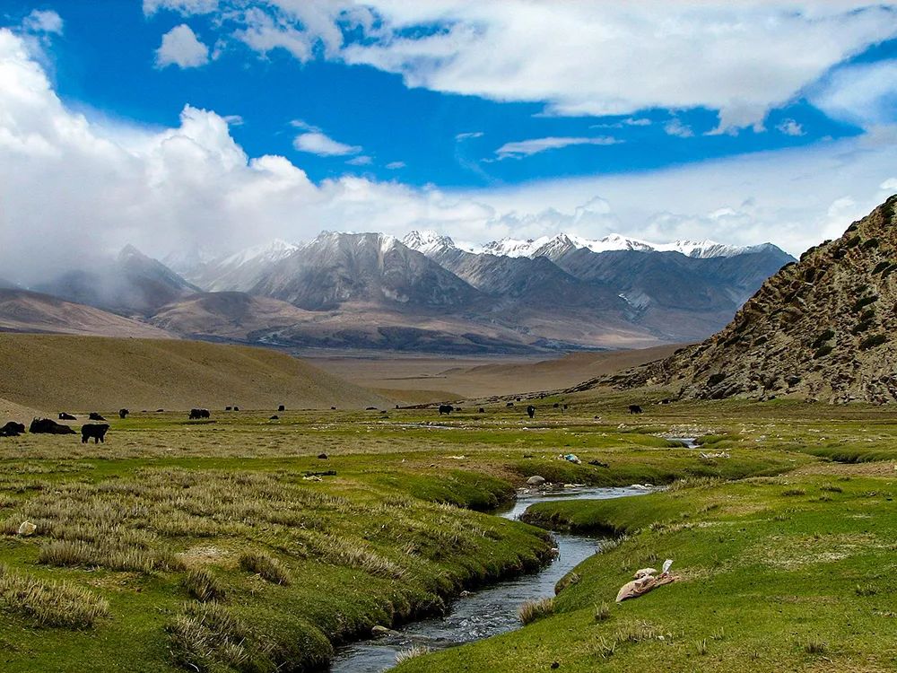 李忠观点丨科学城建设视角下的西北机遇