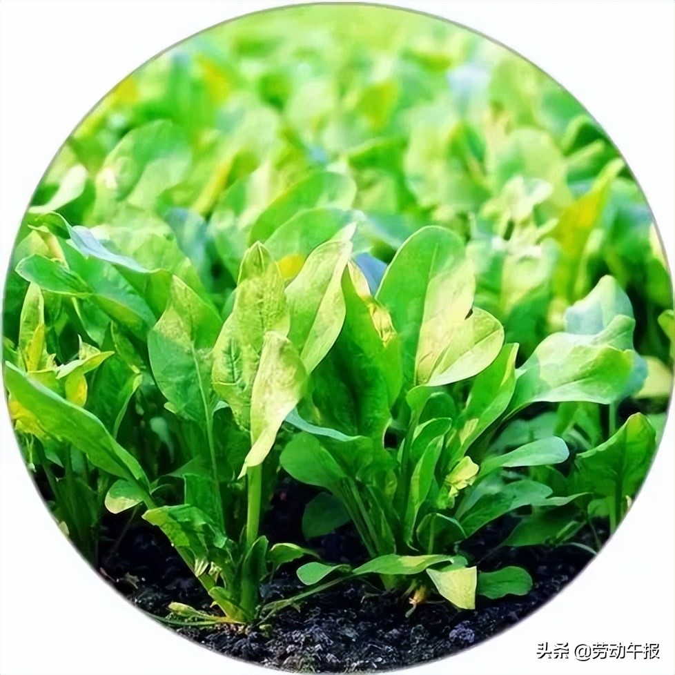 线上学习护眼秘籍必不可少,线上教学技巧培训总结