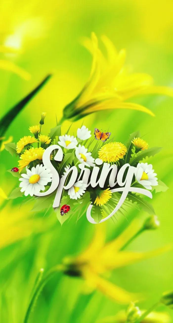 唯美手机壁纸高级感,唯美手机壁纸高清全面屏