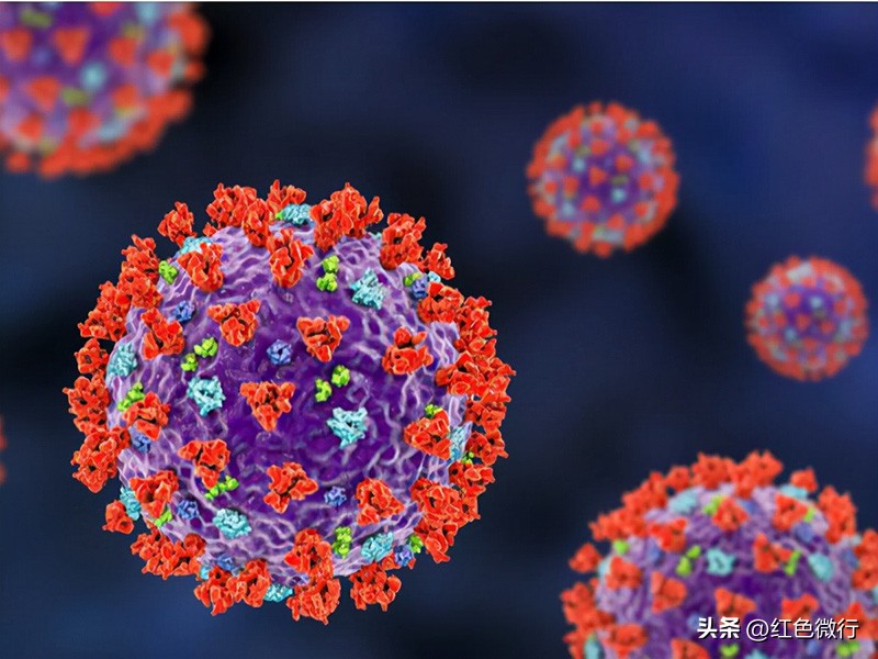 可怕十大病毒,和人类和平共处的病毒