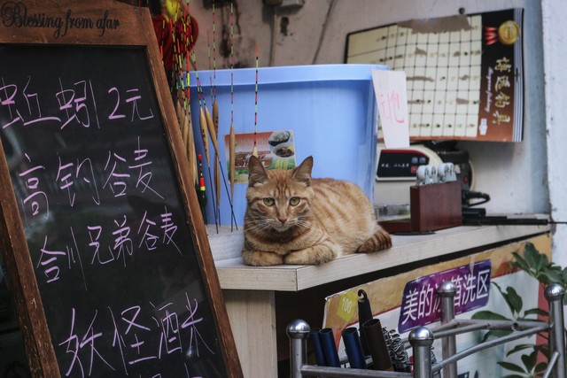 饵料在渔具店买还是在网上买,明明渔具渭南
