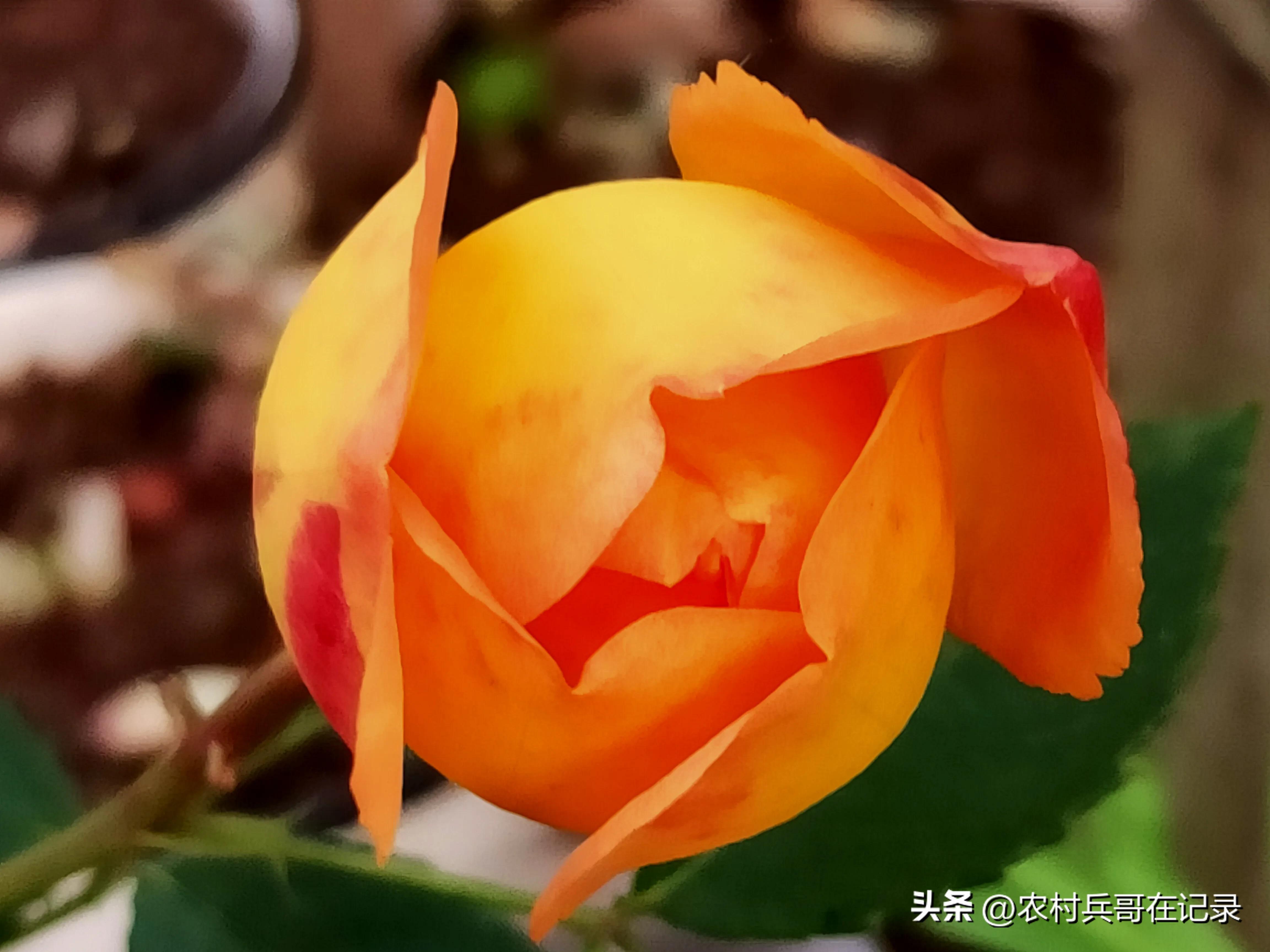 龚大,退休的年纪,找陈哥帮忙,说话却不经考量,但李哥可不由着他！