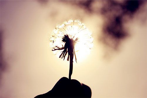 2023年出生的女宝宝取名字大全,2023年兔宝宝女孩叫什么名字