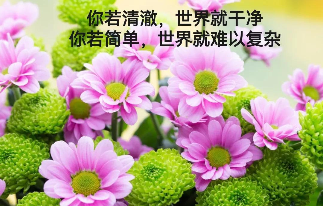 心情不好头脑不清醒,心情不好可以送什么礼物