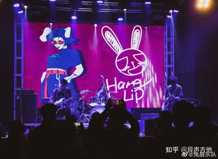 斑鸠的五种常见叫声,疫情下我学会了什么技能