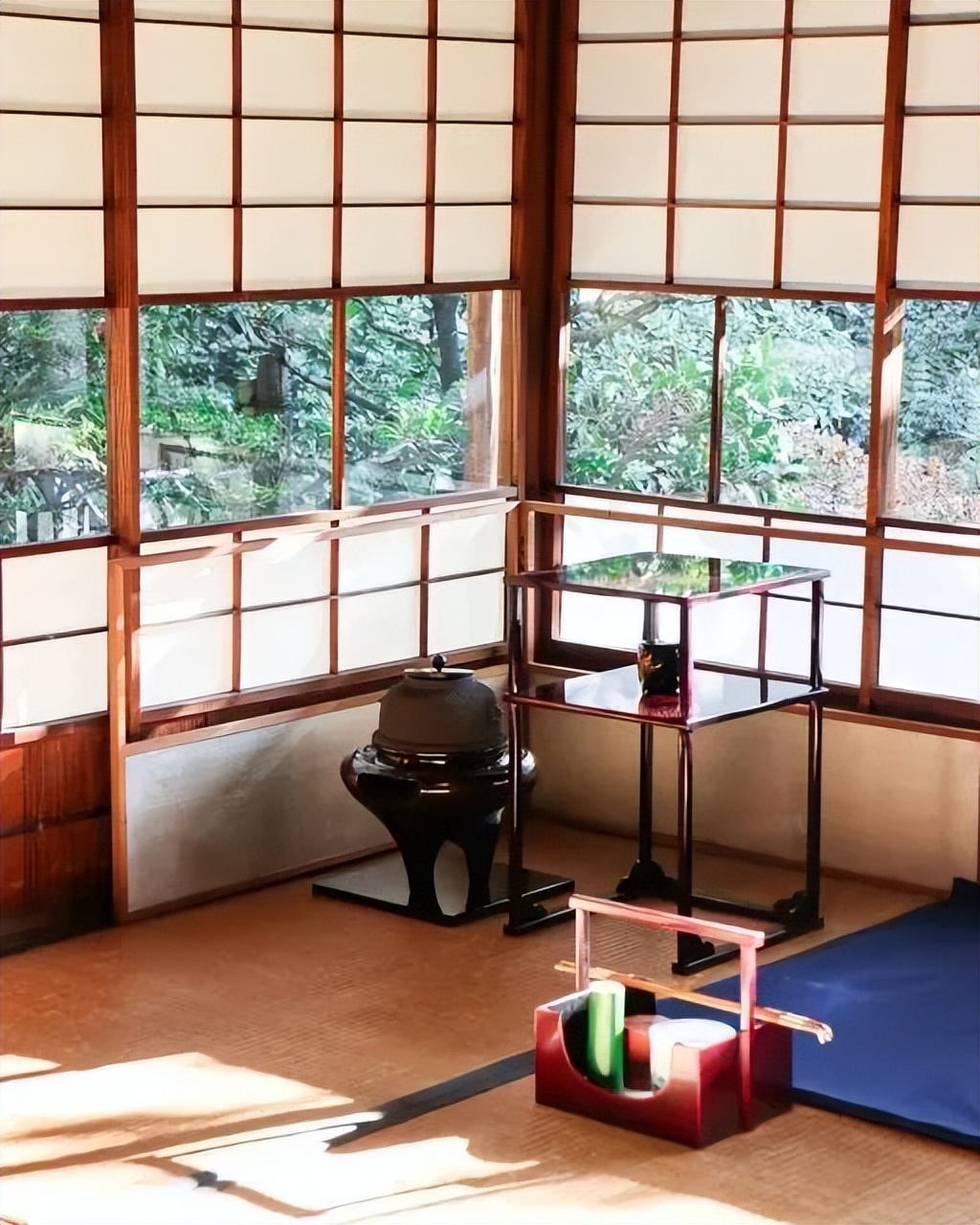 #草木有趣|雪里开花到春晚，不是寻常儿女花