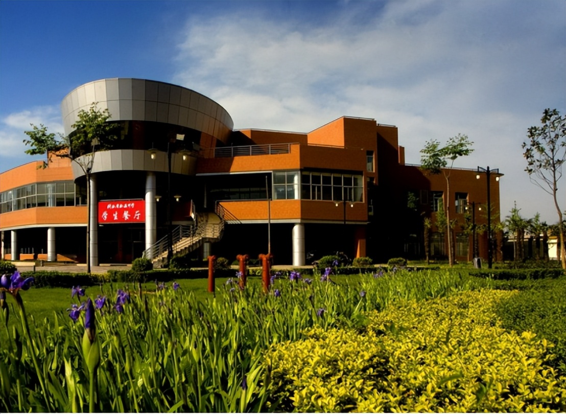 重庆17岁天才少年跳楼,17岁天才少年自尽后续