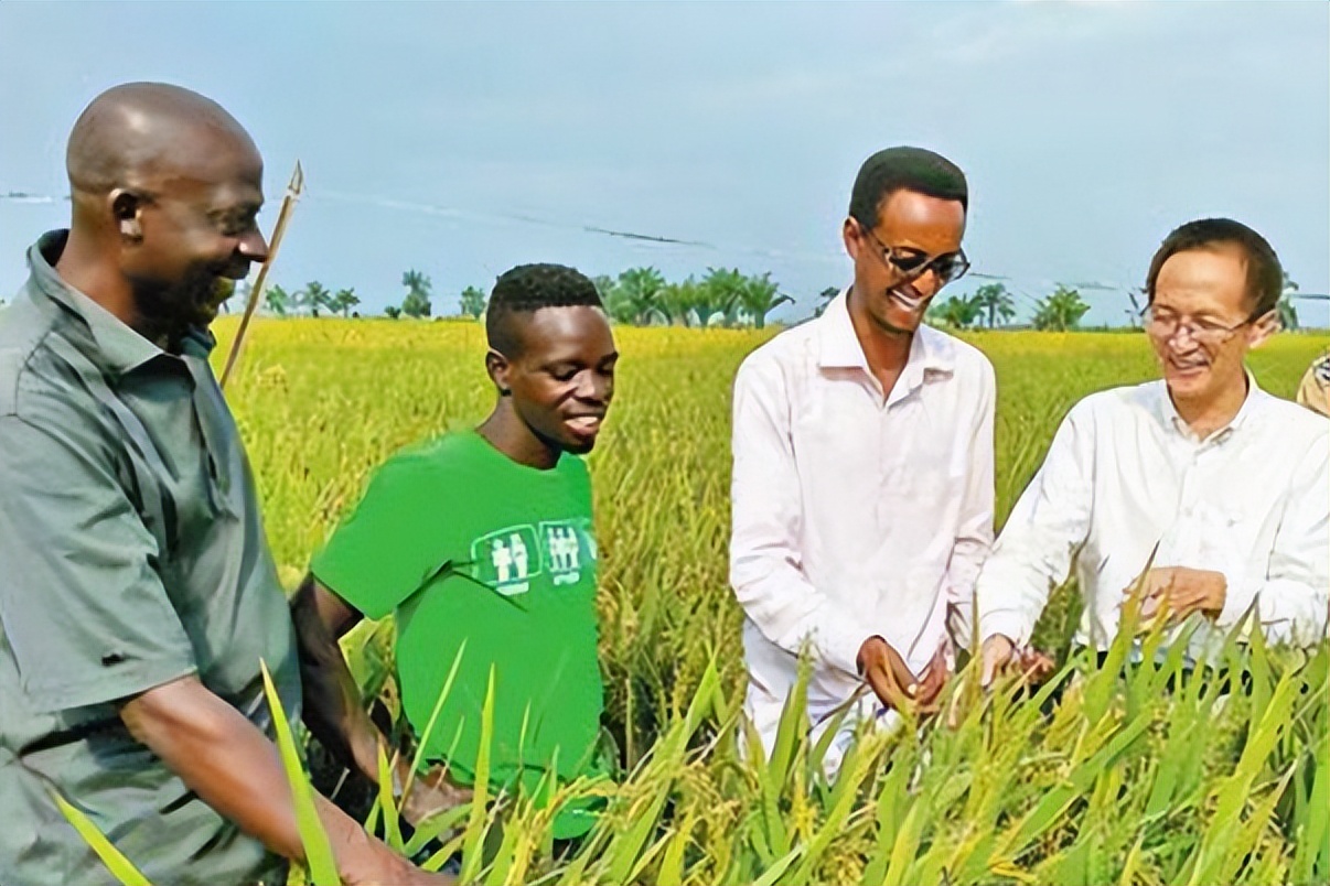 从地狱到人间天堂卢旺达,从天堂到地狱的卢旺达