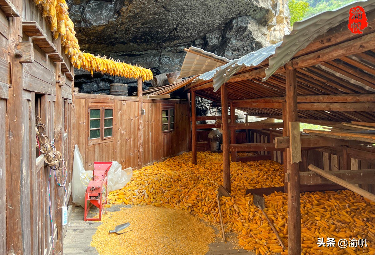 重庆深山悬崖上发现辉煌建筑房屋,重庆大山悬崖峭壁发现千年古房子