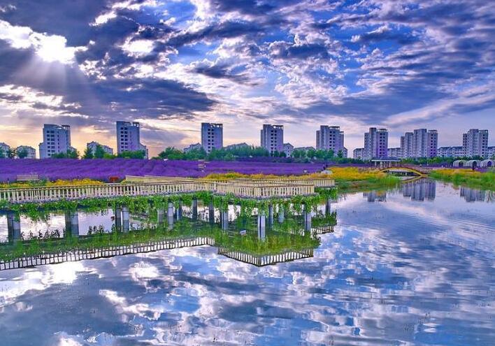 提升幸福指数tips,提升生活幸福感的小操作