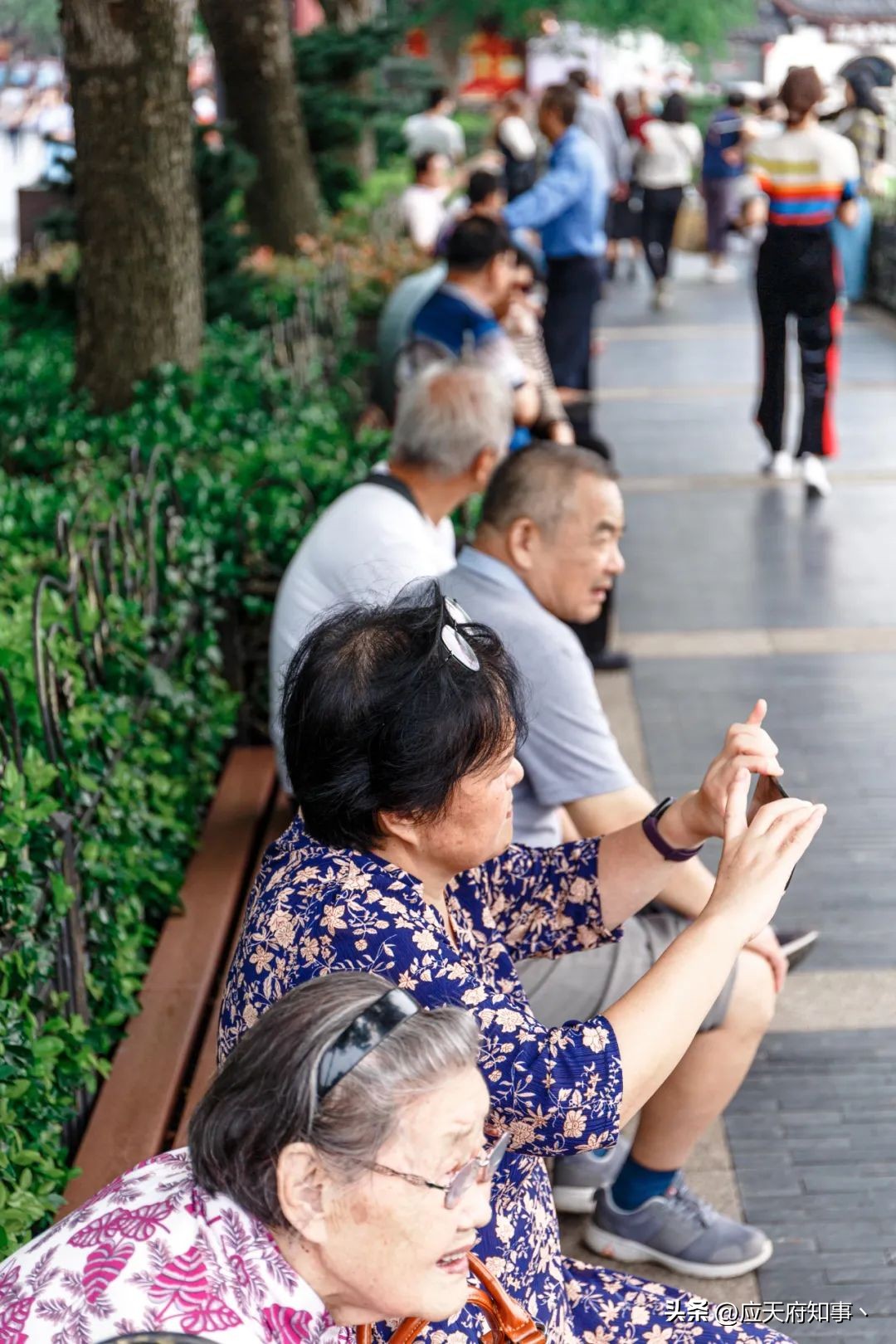 你想要的都在这里,南*夫子京**庙的美食