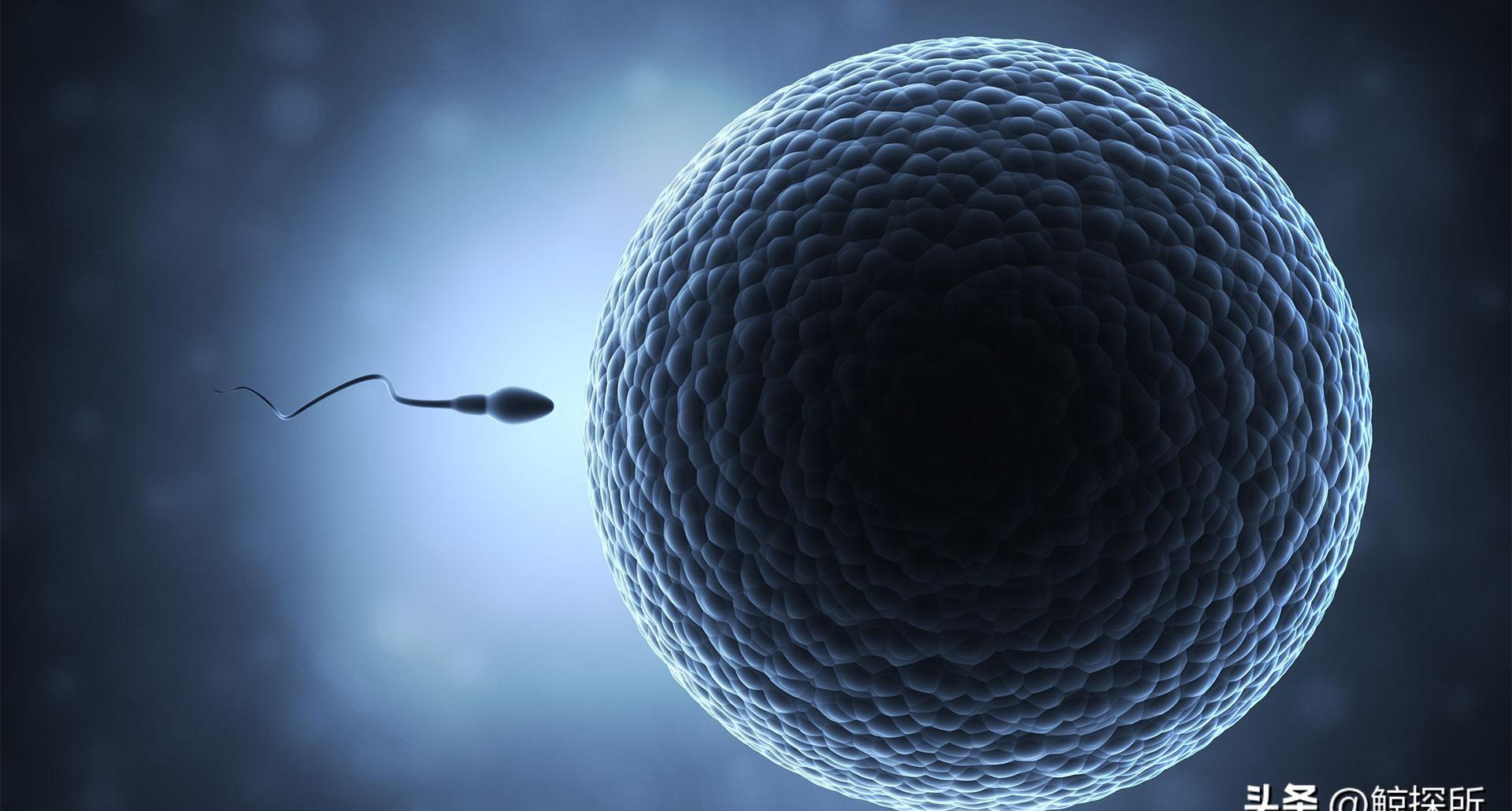 科学家精子运动违背牛顿第三定律,精子科学家