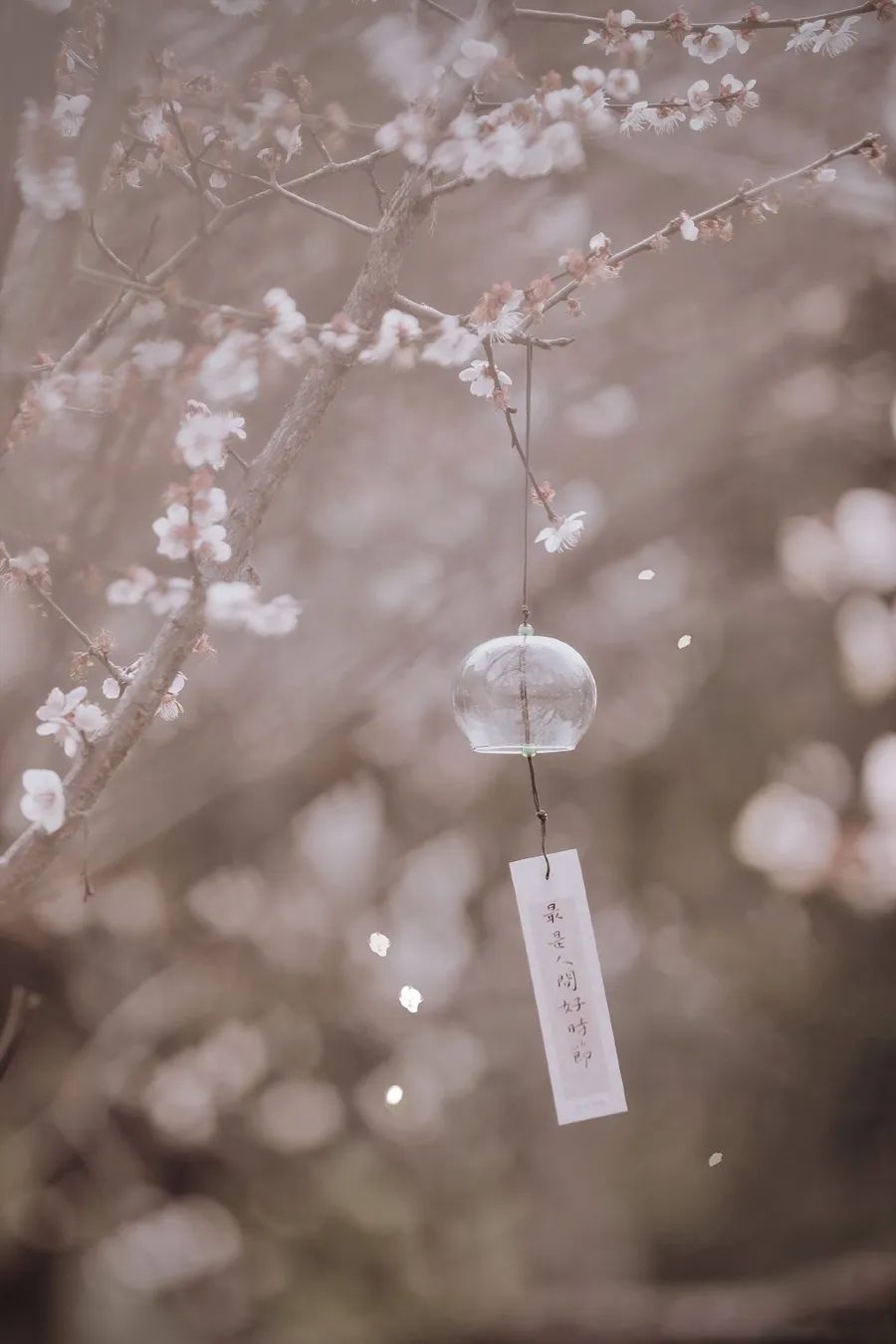 时间雅称大全,时间的别称雅称