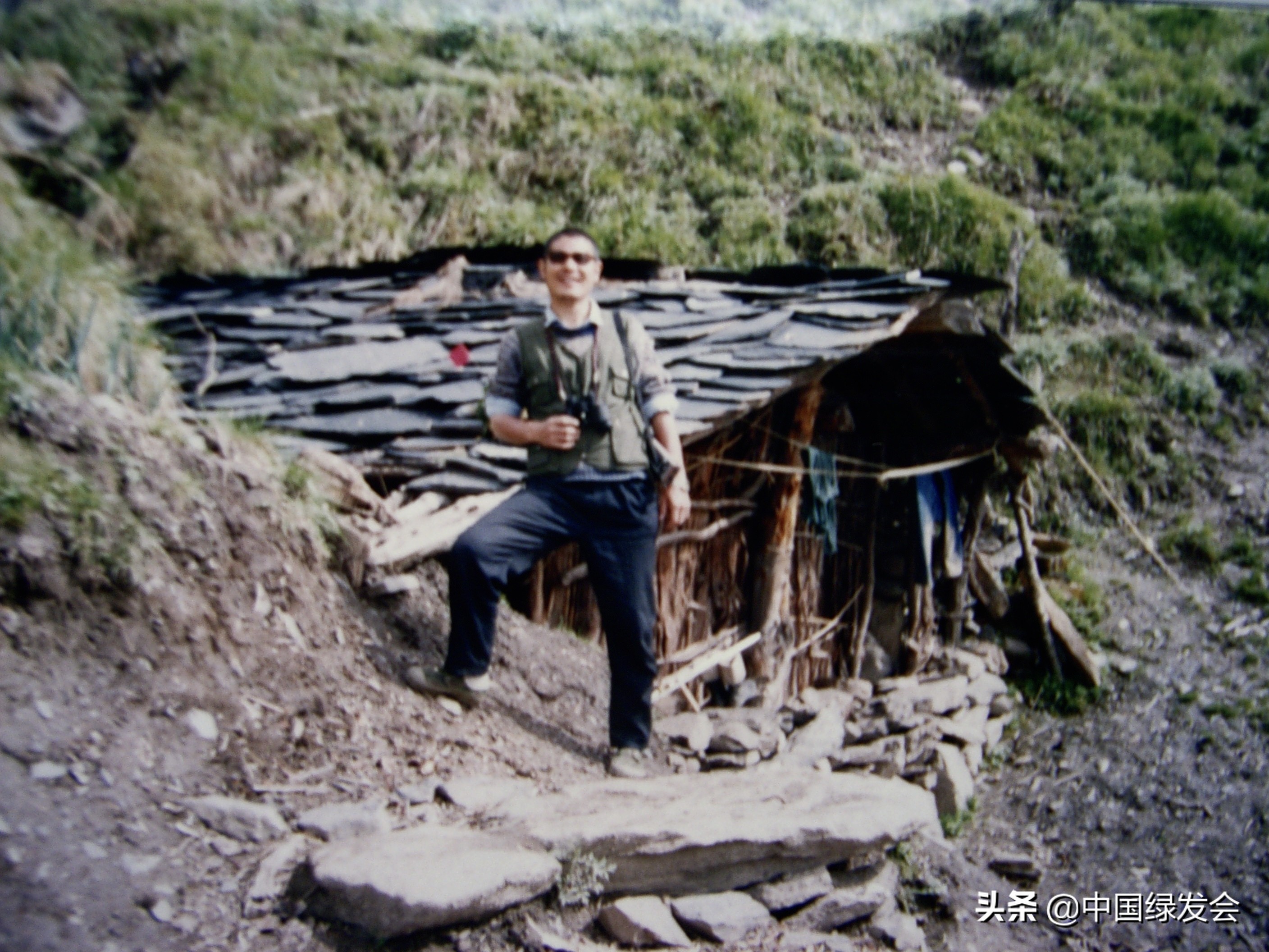 一次遇6只雄性,金属般光泽美不胜收|四川岷山无线电跟踪绿尾虹雉