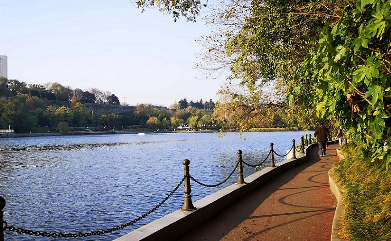 南京免费景点排行榜前十名,南京旅游年卡免费景点一览表