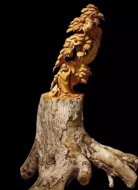 客厅大花盆栽树,100种家庭客厅盆栽树