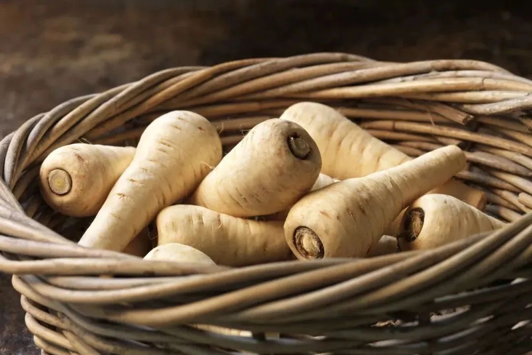 萝卜的这个小知识你知道了吗 (关于萝卜的百科知识有哪些)