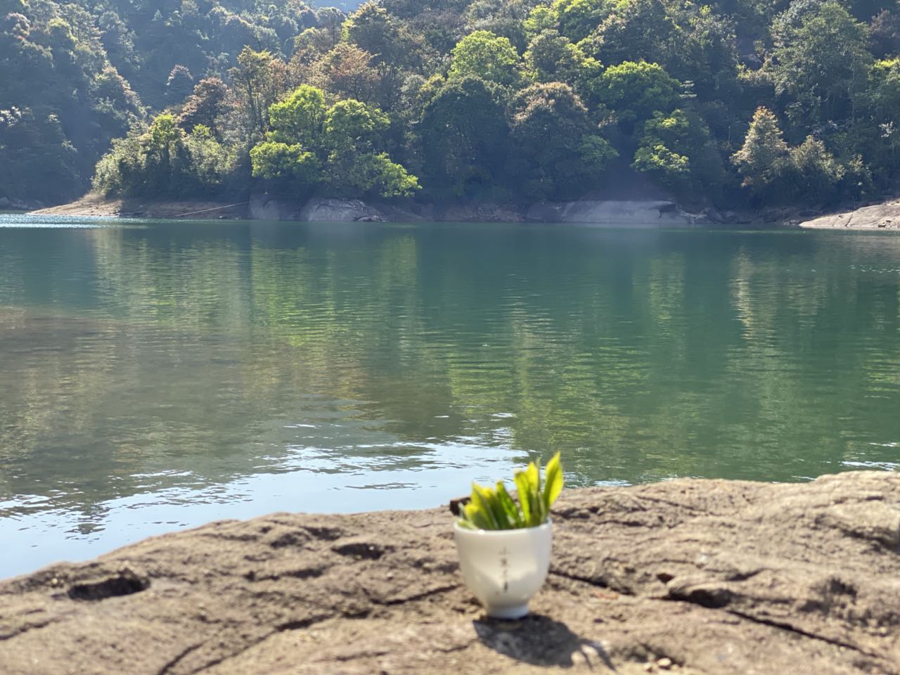 大红袍怎么样分辨茶叶是不是好茶,大红袍不是红茶是青茶