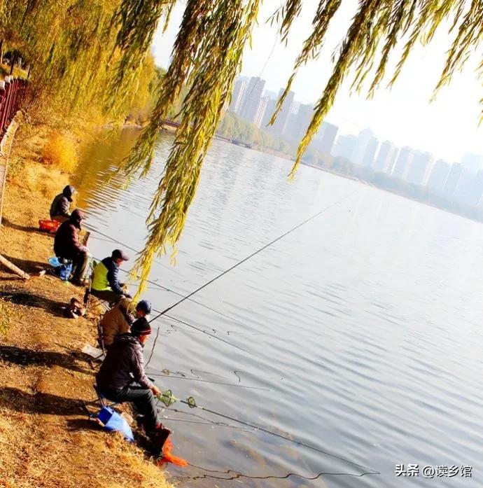 读乡馆,读故乡的感悟20字