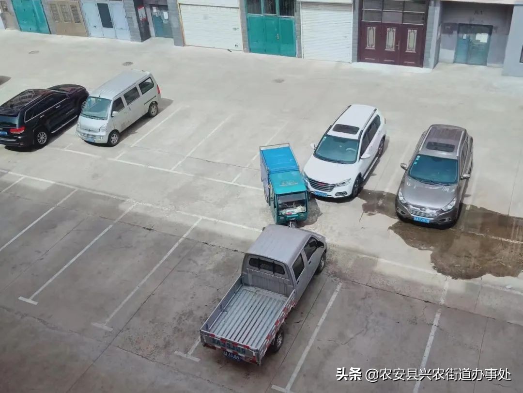 閲戠鑺卞洯灏忓尯涓氫富璇勬祴,閲戠鑺卞洯涓氫富缁存潈