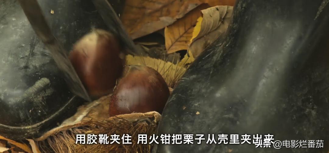 豆瓣9.0，日本乡间简素的一餐一饭，治好了无数人的“精神内耗”